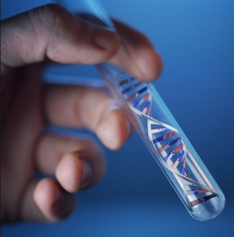 El ADN es producido por primera vez en un tubo de ensayo