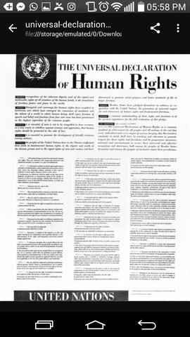 La Declaracion Universal de los Derechos Humanos