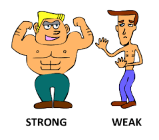 Physical Description