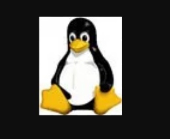 Linus Torvalds crea Linux