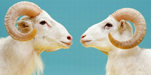 1997 ( clonación animal)