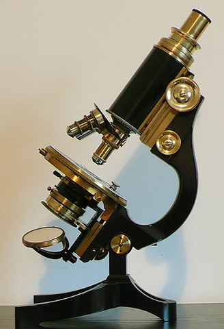 Light microscope