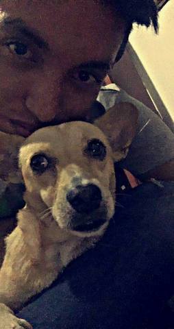 In 2013, my mom gave me a dog of Christmas, I always wanted to have a pet, at first it was difficult, but eventually became the darling of the house, I love her like a daughter.