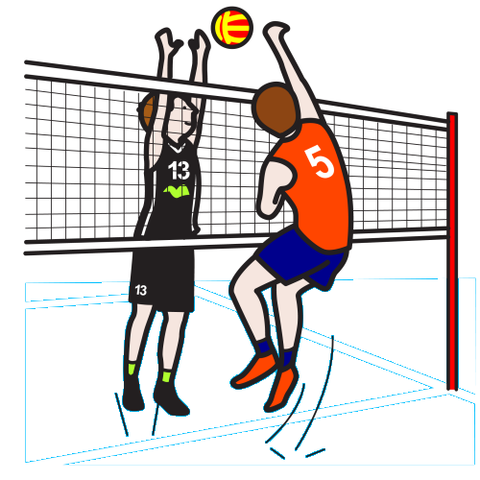 el congreso del voleibol