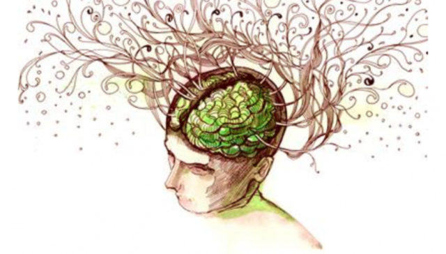 Llega la ilustración.