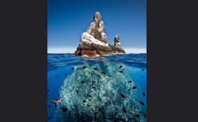 El Archipiélago de Revillagigedo es declarado Patrimonio de la Humanidad por la UNESCO.