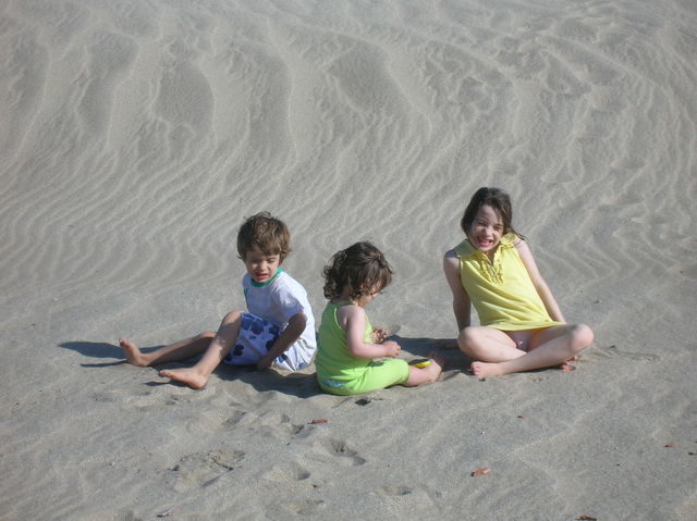 Vacaciones de verano 2009