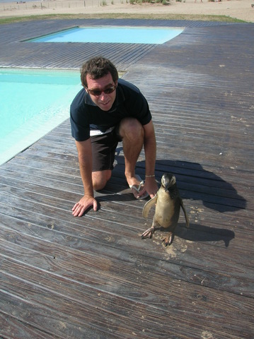 Vacaciones de verano de 2008