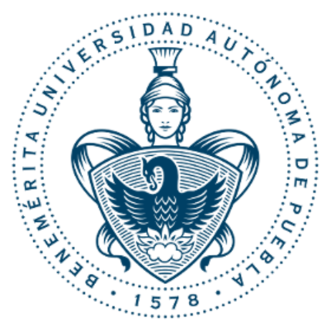 Realizado por Angélica Itzél Palacios Salazar