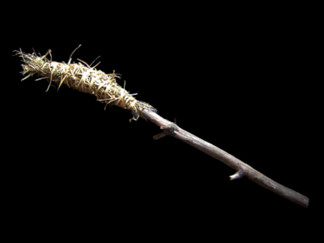 Las antorchas Los Romanos 430 D.C.