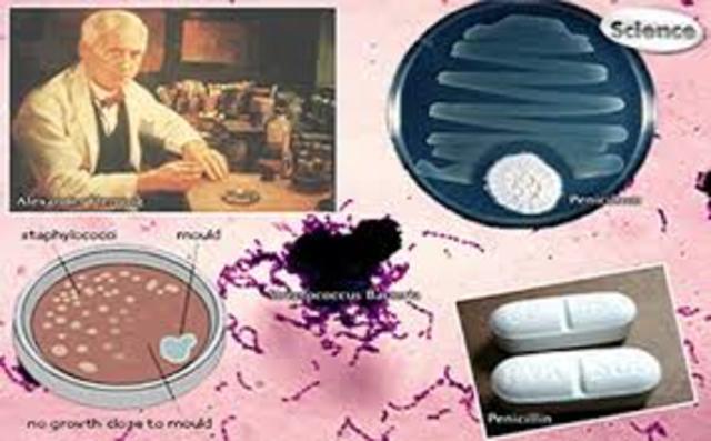 Alexander Fleming: descubrimiento de la penicilina