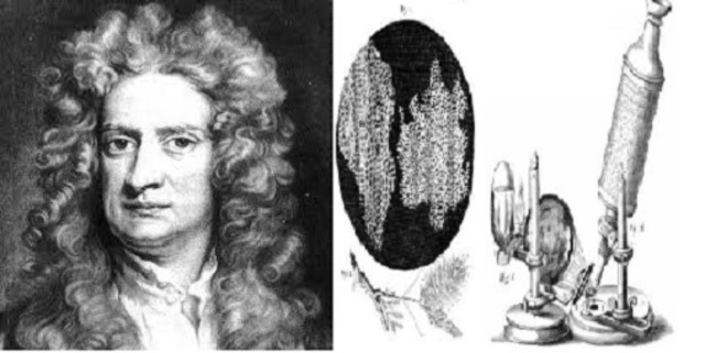 Robert Hooke: primeras observaciones de las células