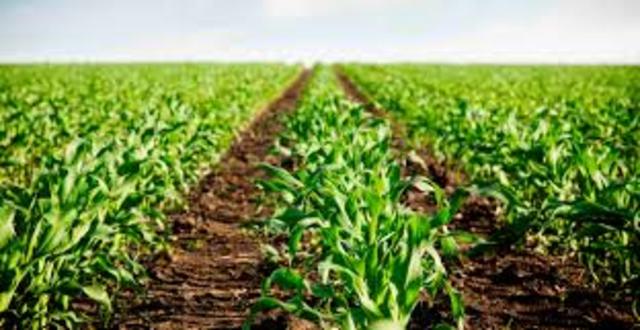 REVOLUCIÓN MEXICANA Y LA AGRICULTURA