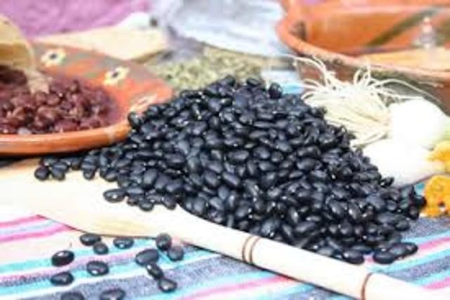 Sistema Alimentario Mexicano (SAM).