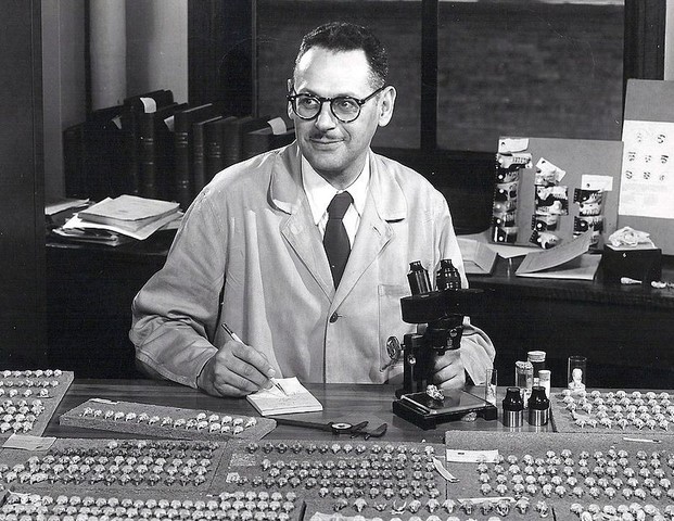 Química Orgánica de Síntesis