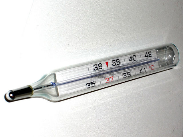 Termometro de Mercurio