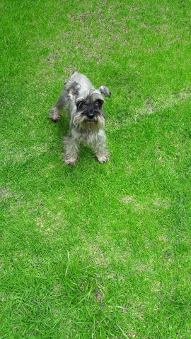 The day I got Pepper