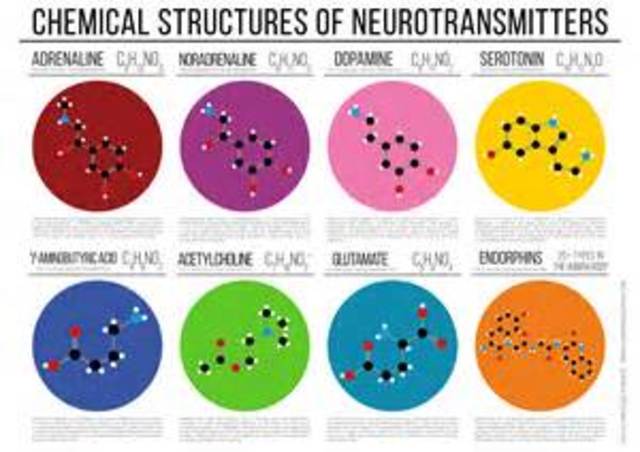 Estructura Quimica.