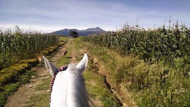 My First Time Riding