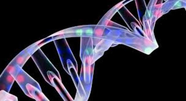 Los genes residen en los cromosomas