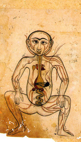 Descubrimiento de la circulación mayor y menor