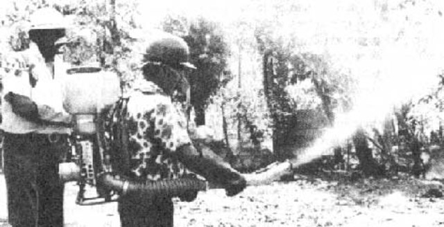 Colombia  (1951-1960)