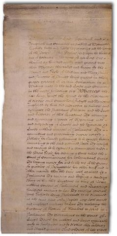 Carta de derechos o Declaración de derechos (Bill of Rights)