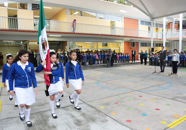 Primaria (2003-2009)