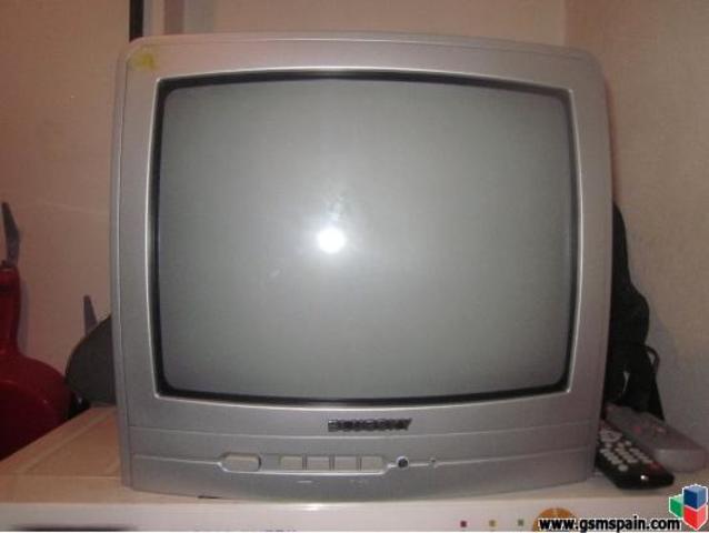 Televisor