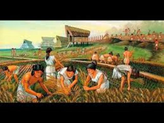 La agricultura en México