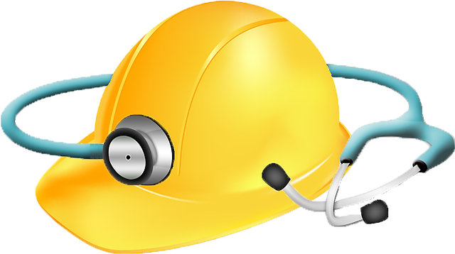 CUAL FUE LA PRIMERA LEY