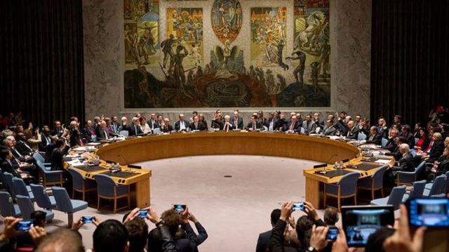 Organización de las Naciones Unidas (ONU)