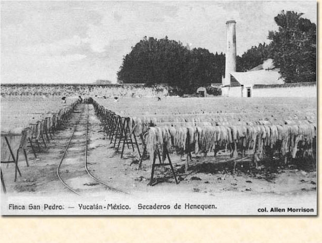 Agricultura 1910 -1920