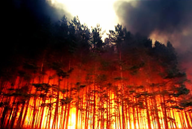 Incendio de la taiga Siberiana (Rusia)