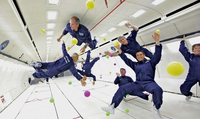 Newton descubré la gravedad.