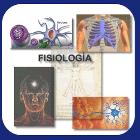 Programa Fisiologia