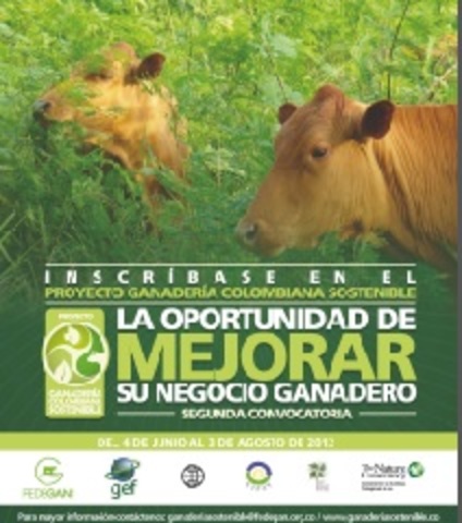 Inversiones en proyectos