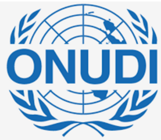 Comisión Mundial para el Medio Ambiente y el Desarrollo (1987)
