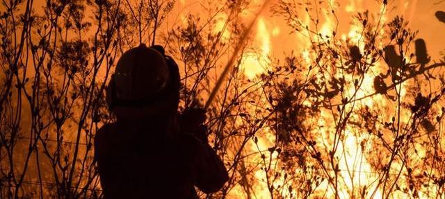 Viernes negro, Incendio forestal en Australia