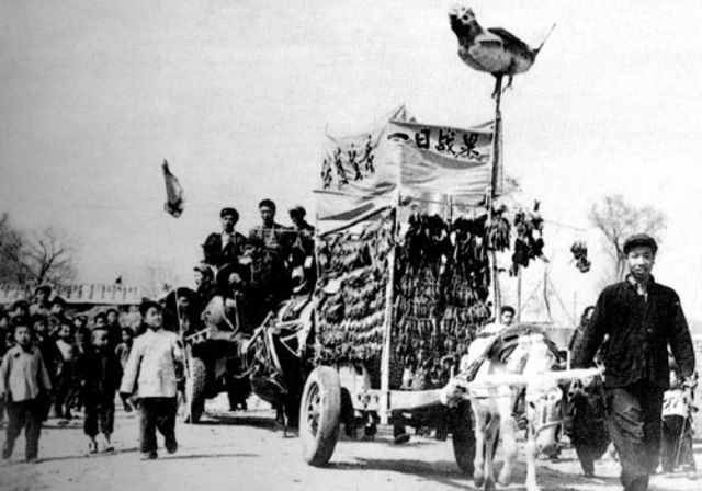 Desastre Agrícola por la eliminación de Gorriones (China)