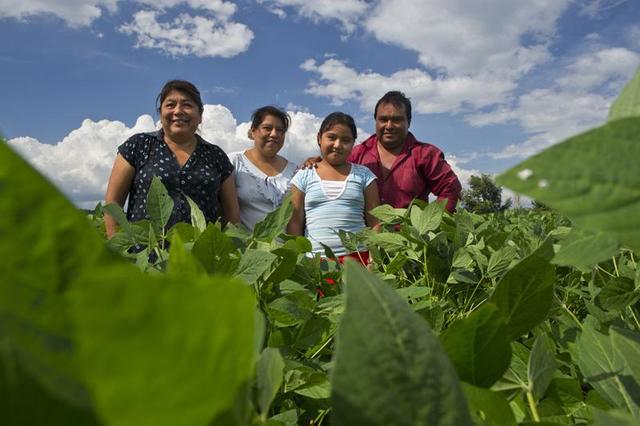Se implemento el Programa integral para el desarrollo rural