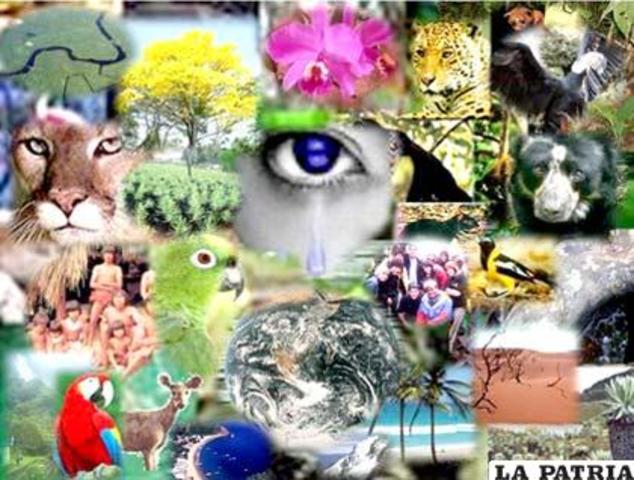 La naturaleza de los Derechos Humanos