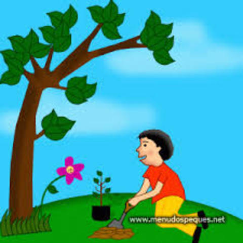 Que debo hacer con los residuos orgánicos?