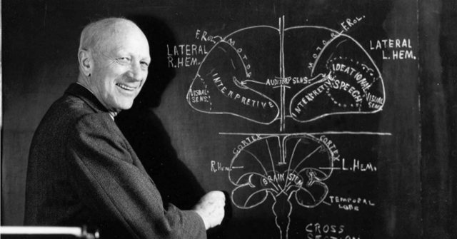 Wilder Penfield: maps the cerebral cortex