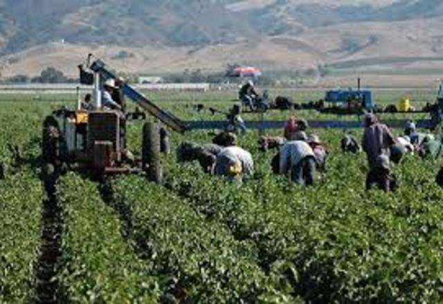 Arthur Lewis (1958), John Fei (1964) y Gustav Ranis (1971)