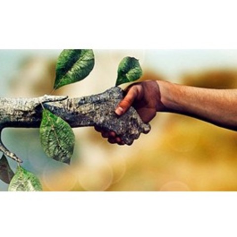 Concepto de Desarrollo sostenido