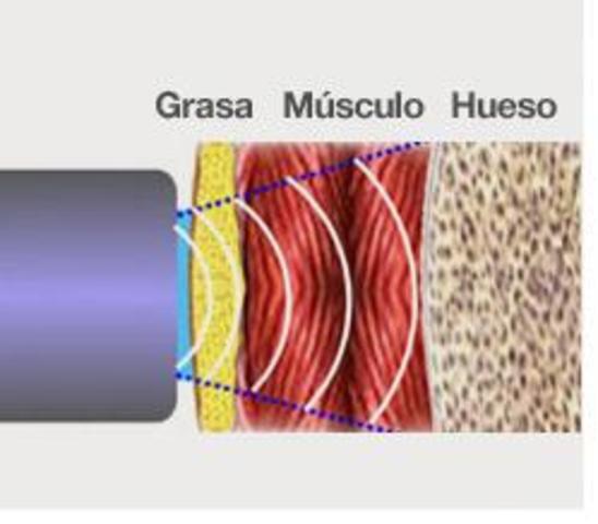 Compartimientos corporales