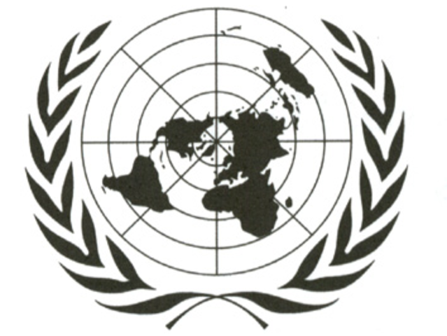 Organización de las Naciones Unidas (ONU)