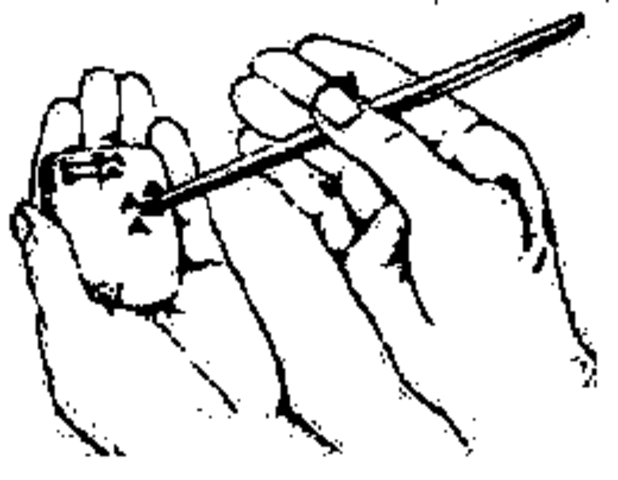 Escritura cueniforme