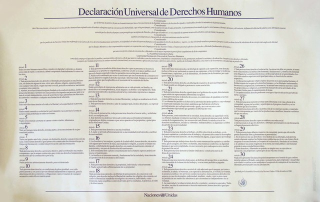 Declaración Universal de los Derechos Humanos